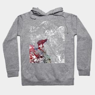 Alpine ibex Hoodie